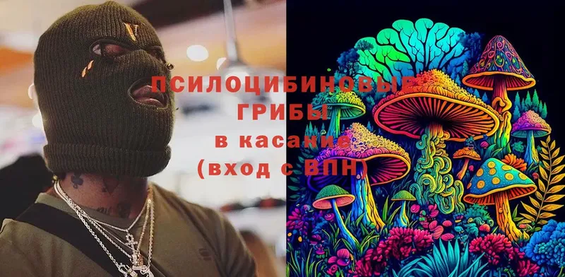 omg вход  Изобильный  Псилоцибиновые грибы Psilocybe 